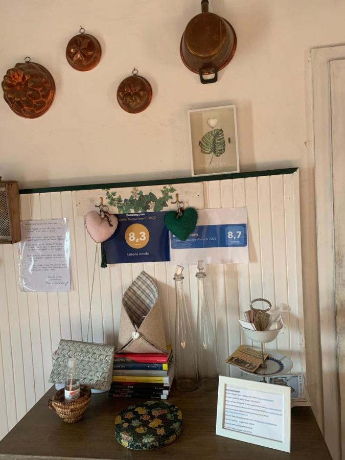 Fattoria Amelia Villa Santa Caterina  Екстериор снимка
