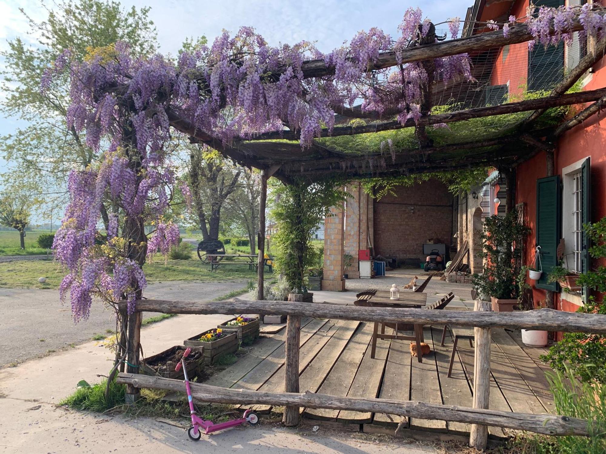 Fattoria Amelia Villa Santa Caterina  Екстериор снимка